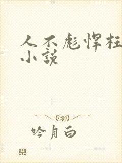 人不彪悍枉少年小说