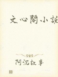 文心阁小说封面