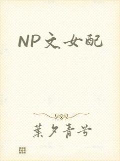 NP文女配