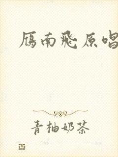 雁南飞原唱封面