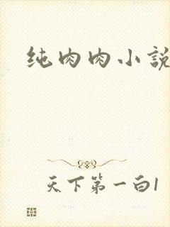 纯肉肉小说