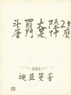 斗罗大陆2绝世唐门是什么