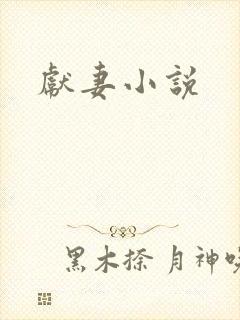 献妻小说