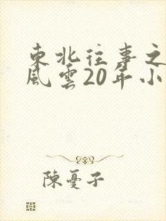 东北往事之黑道风云20年小说封面