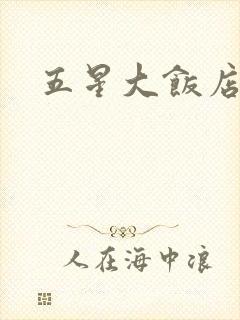 五星大饭店小说