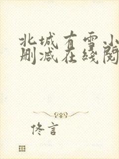 北城有雪小说无删减在线阅读
