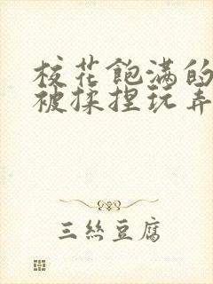 校花饱满的双乳被揉捏玩弄封面