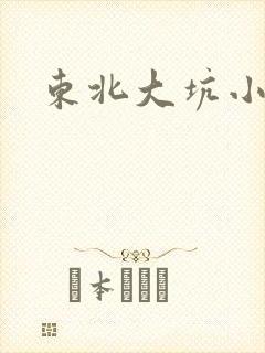 东北大坑小说