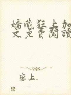 娇藏狂上加狂全文免费阅读笔趣阁