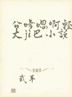 公嗲嗯啊轻点公大ji巴小说