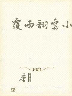 覆雨翻云小说封面