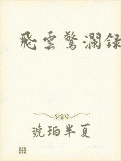 飞云惊澜录封面