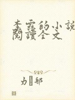 李霖的小说免费阅读全文