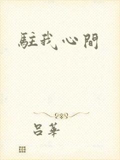 驻我心间封面