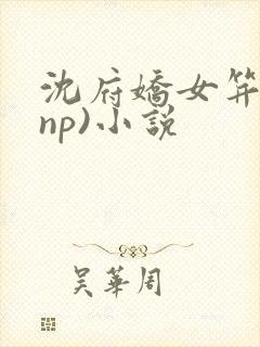 沈府娇女笄礼(np)小说