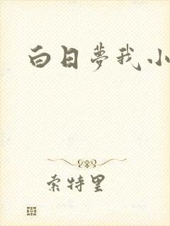 白日梦我小说封面