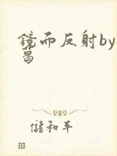 镜面反射by九葛