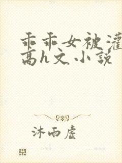 乖乖女被灌满精高h文小说