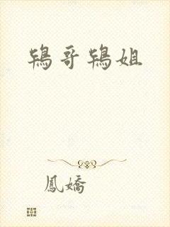 鸨哥鸨姐