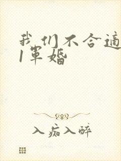 我们不合适1v1军婚封面