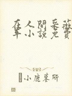 在人间采薇陆三平小说免费阅读