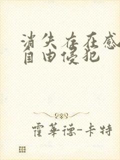 消失存在感消失自由侵犯