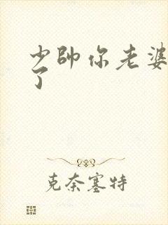 少帅你老婆又跑了