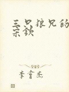 三只狼兄的宠妻宋钦