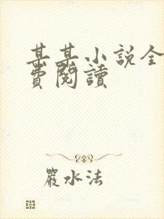 某某小说全文免费阅读