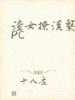 渣女撩汉系统NPC