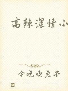 高辣浓情小说