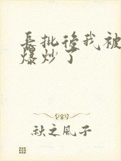 长批后我被宿敌爆炒了