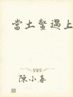 当土鳖遇上海龟