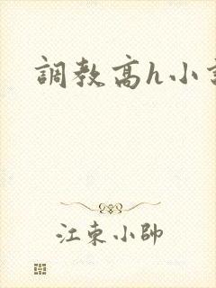 调教高h小说封面