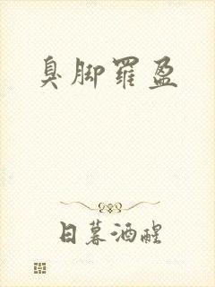 臭脚罗盈封面