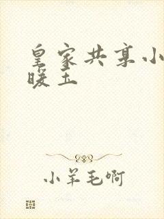 皇家共享小公主暖玉封面