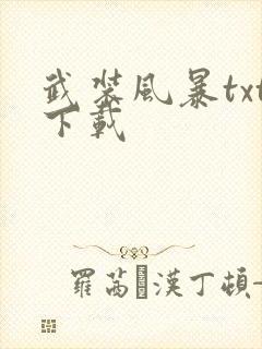 武装风暴txt下载封面