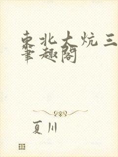 东北大炕三部曲笔趣阁