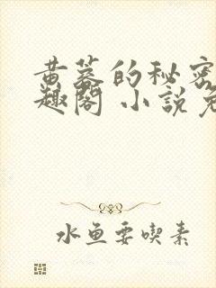 黄蓉的秘密 笔趣阁 小说免费阅读下载封面