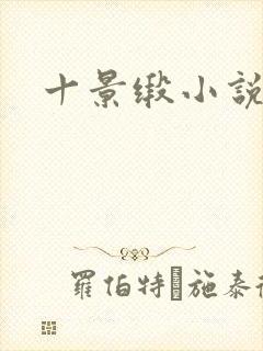 十景缎小说
