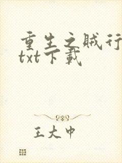 重生之贼行天下txt下载
