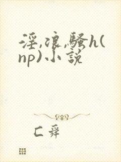 淫,浪,骚h(np)小说