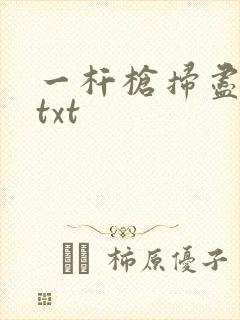 一杆枪扫尽全家txt封面