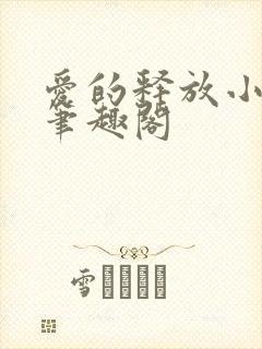 爱的释放小说 笔趣阁