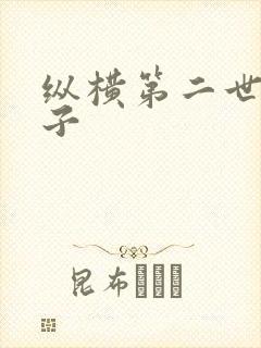 纵横第二世界宽子封面