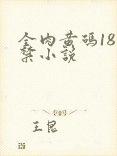 全肉黄码18无禁小说封面