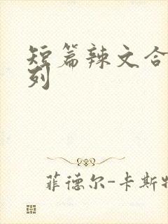 短篇辣文合集系列封面