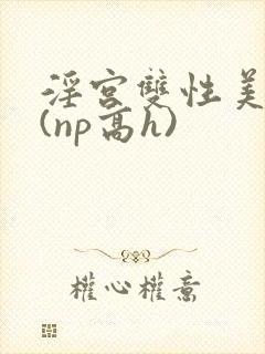 淫宫双性美人录(np高h)