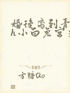 婚后脔到青梅哭h小白兔宫交h