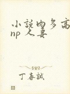 小说肉多高h np 人妻